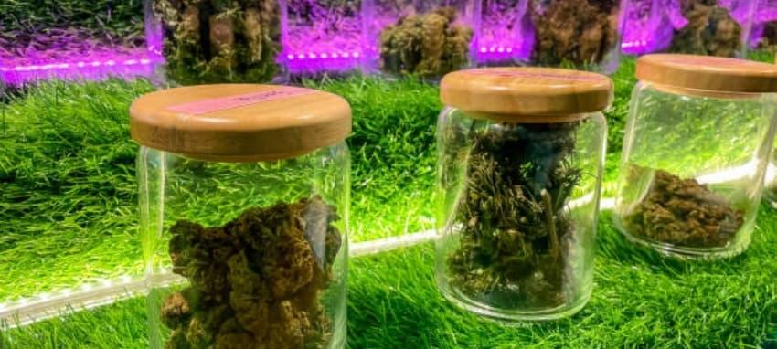 Kompletní recenze e cigareta ego ce4 a srovnání e cigareta ego ce4 pro začátečníky i pokročilé